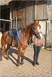 Jacko