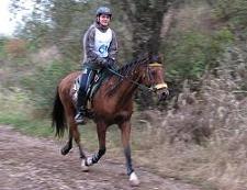 Most Ferrol